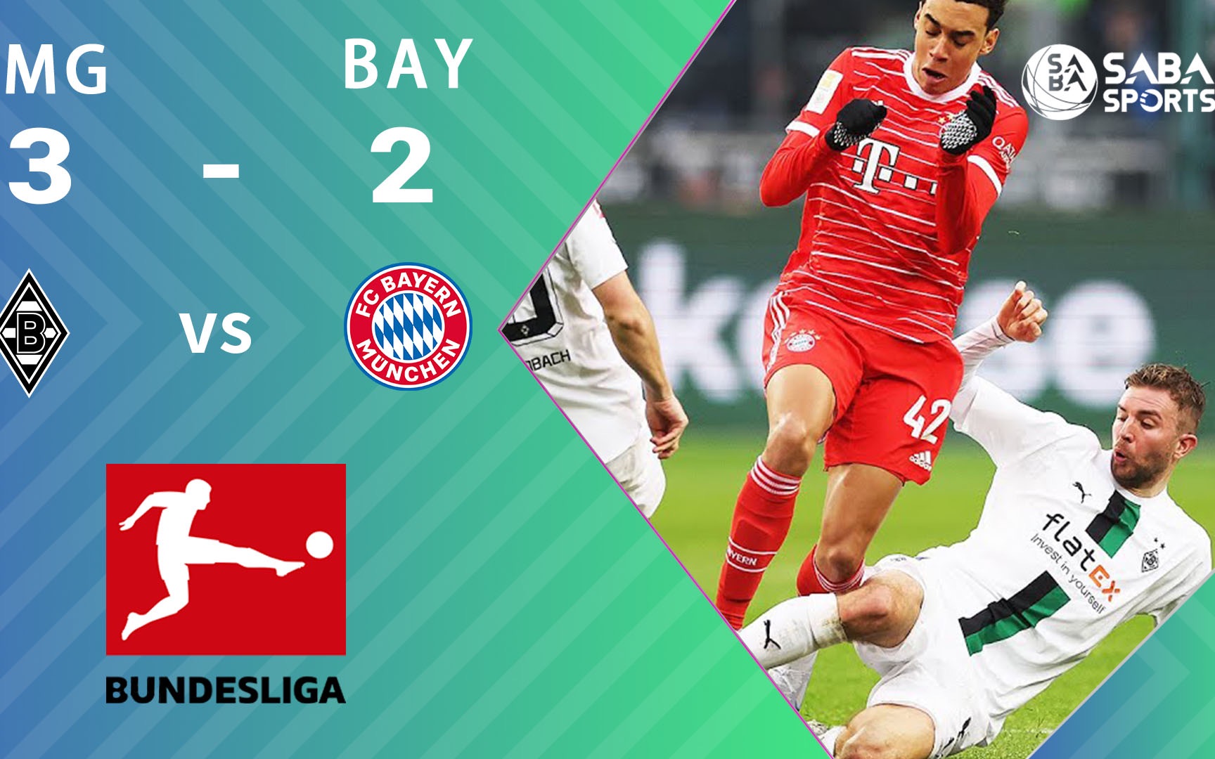 宠物用品包装设计、宠物食物包装盒欣赏