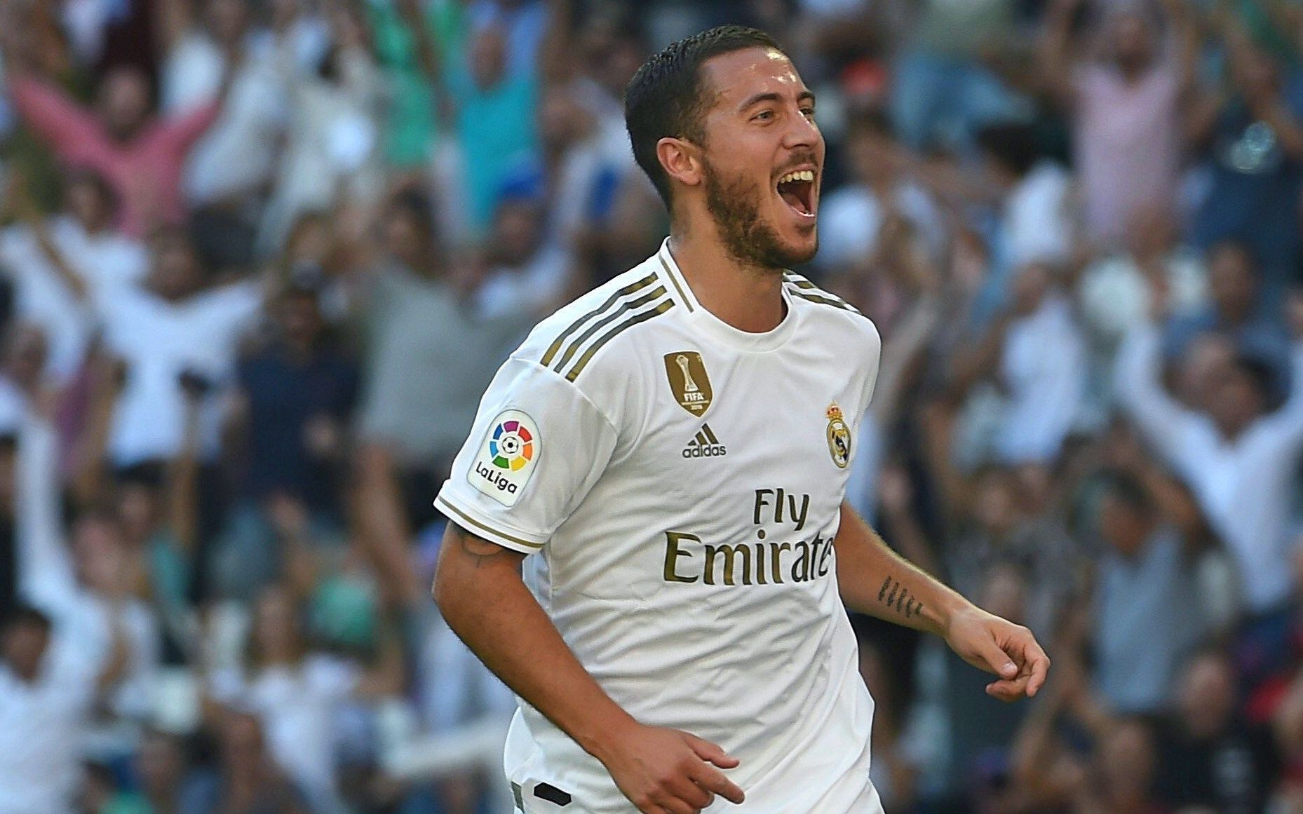 奥尔佳环保材料宣传册设计欣赏-东莞品牌设计